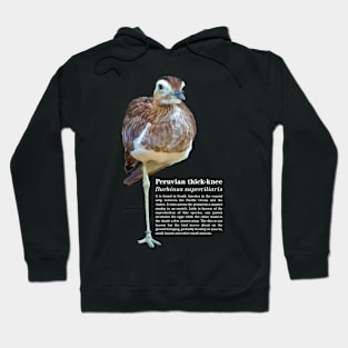 Peruvian thick-knee tropical bird white text Hoodie